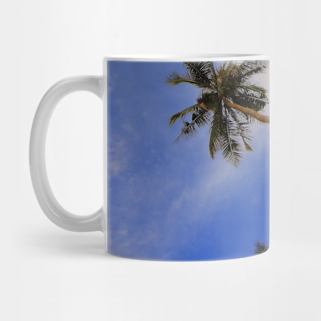 Cool Palm Trees by NewburyBoutique